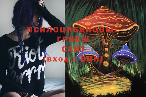 твердый Алексеевка