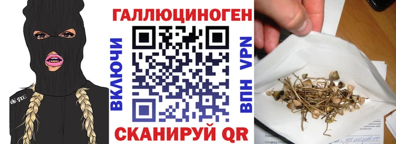 Галлюциногенные грибы MAGIC MUSHROOMS  Полевской 